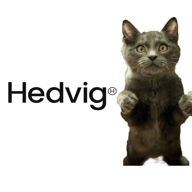 Hedvid Kattförsäkring