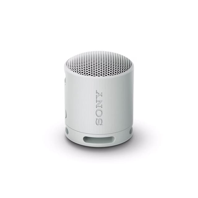 Sony SRS-XB100