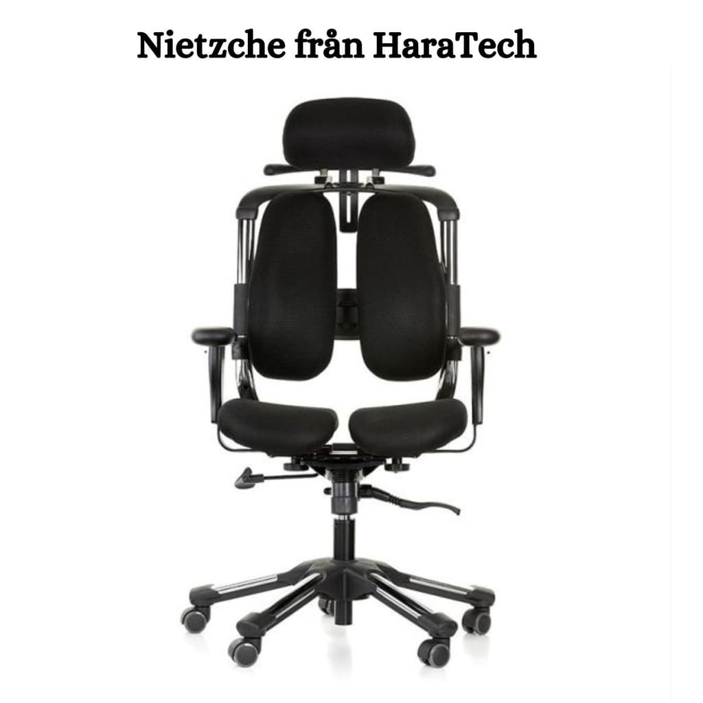 Nietzche från HaraTech
