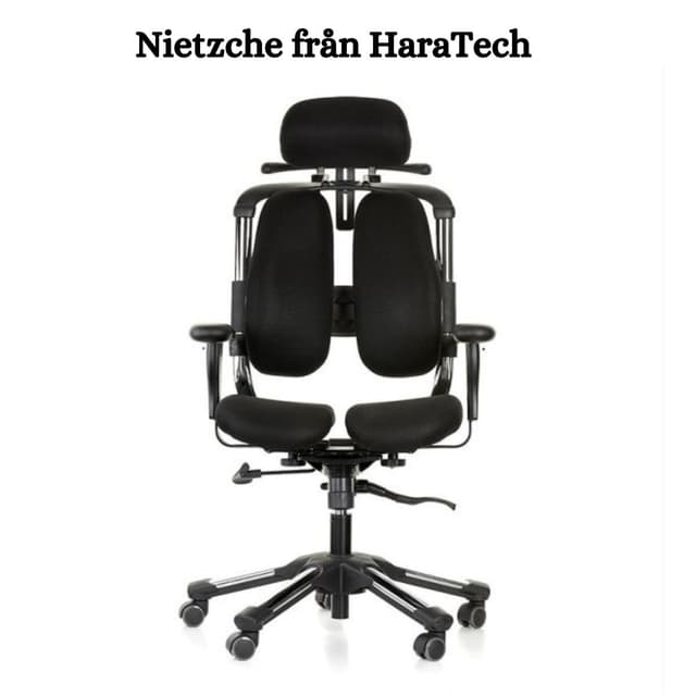 Nietzche från HaraTech