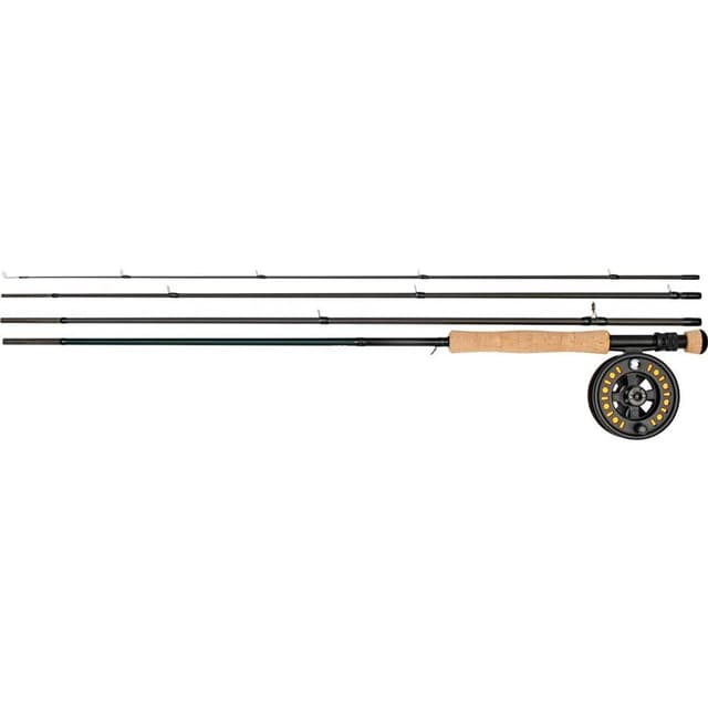 Daiwa D Pike Fly Combo 9 fot flugfiskeset för gädda