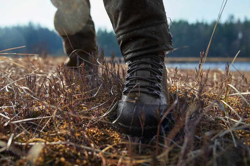 Härkila Forest Hunter Hi GTX utomhus
