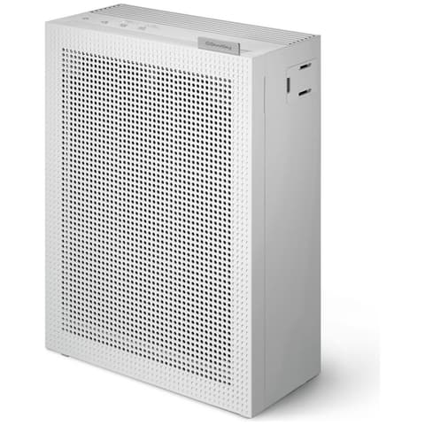 Coway AP-1019C