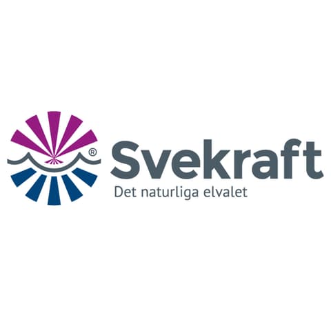 Svekraft Elavtal