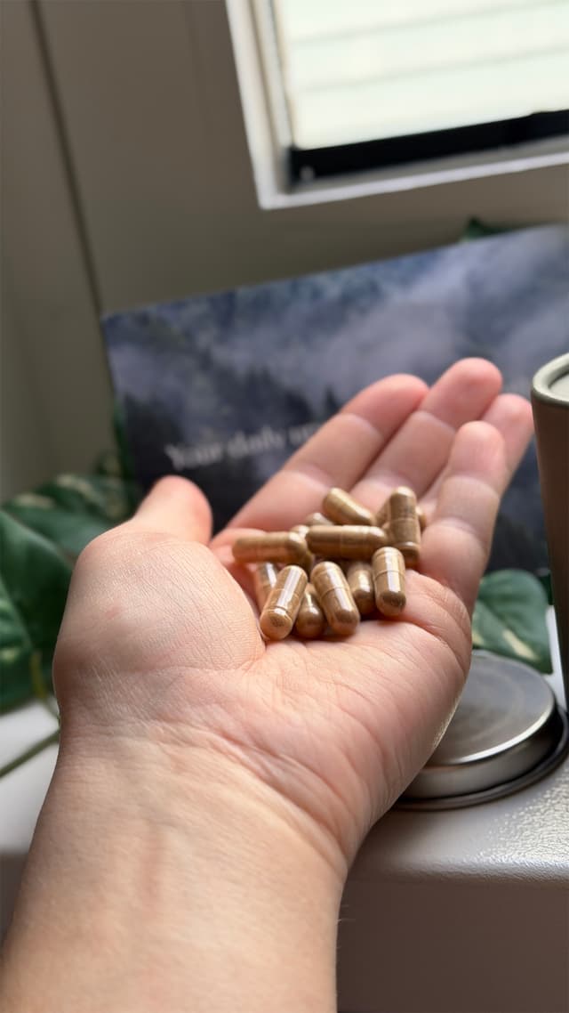 Ancient therapy Lions mane kapslar i handen