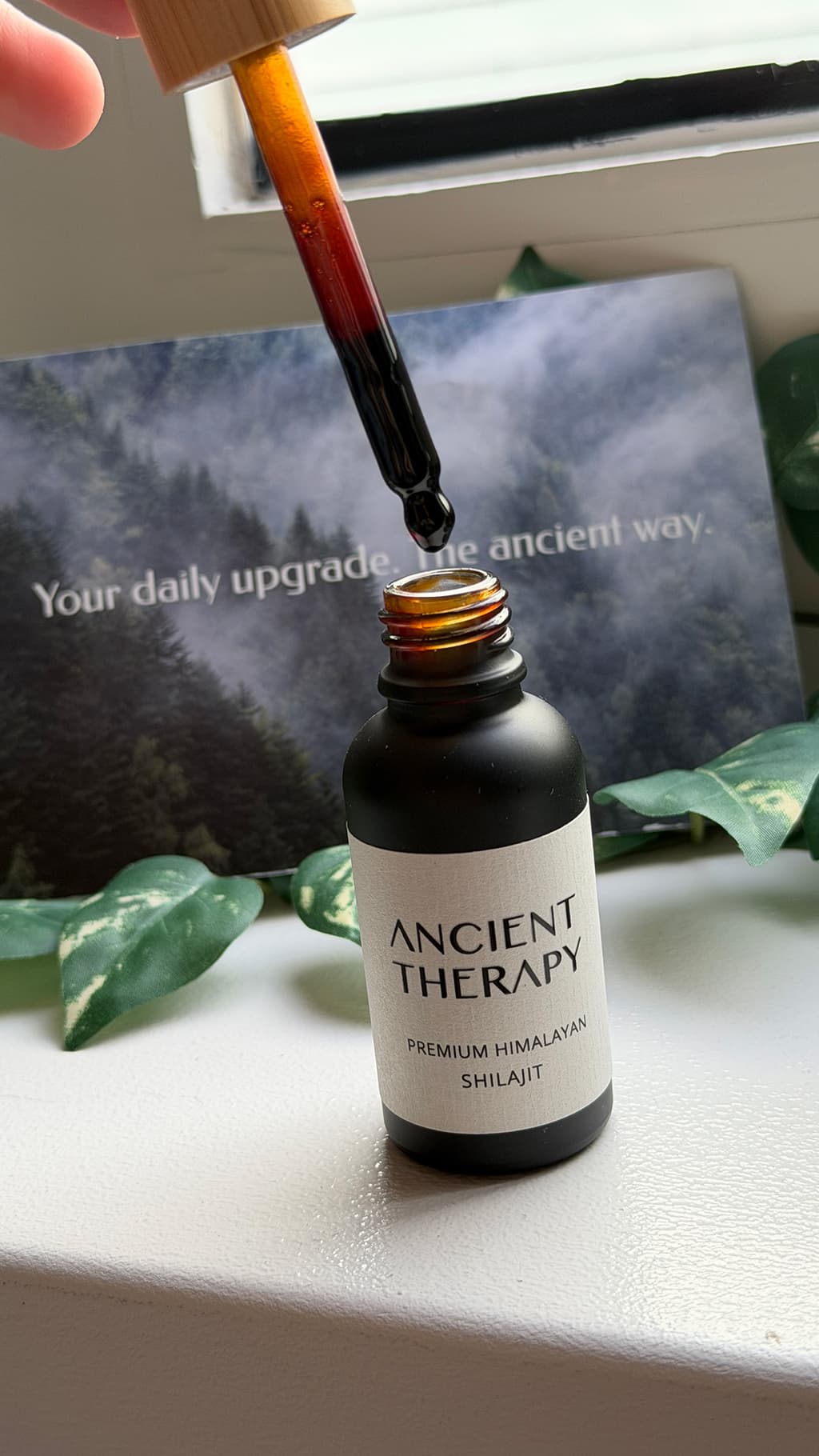 Ancient Therapy shilajit droppipett