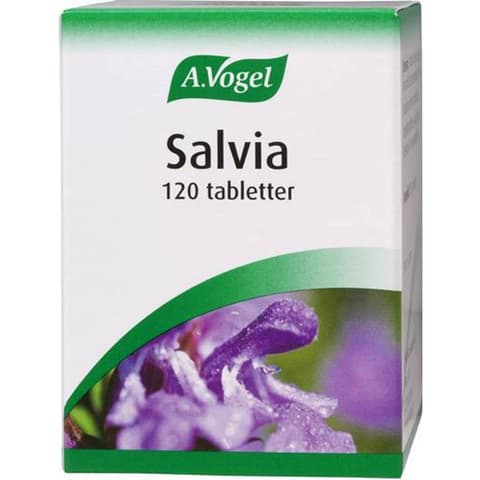 A.Vogel Salvia