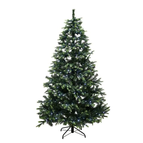 Nordic Winter Limited Edition 180cm