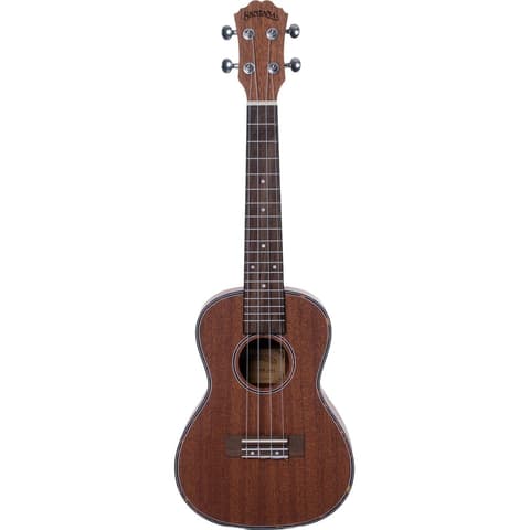 Santana U4 C