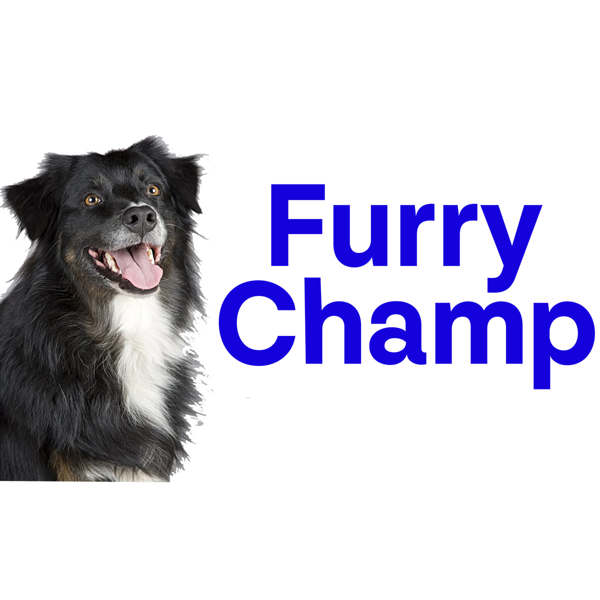 Furrychamp hundförsäkring