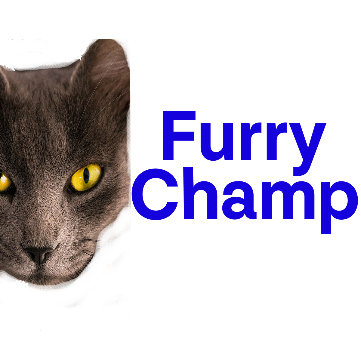 Furrychamp Kattförsäkring