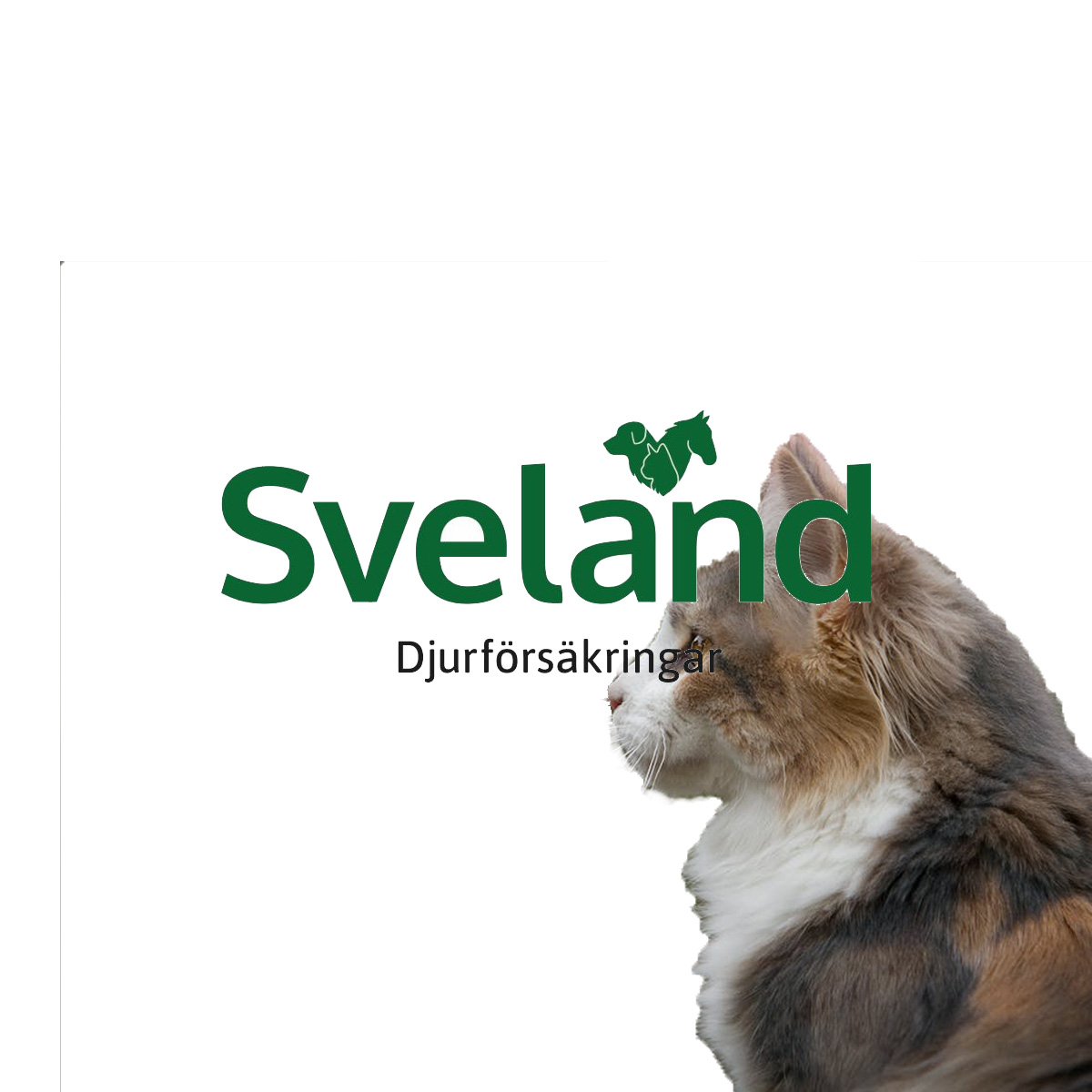 Sveland Kattförsäkring