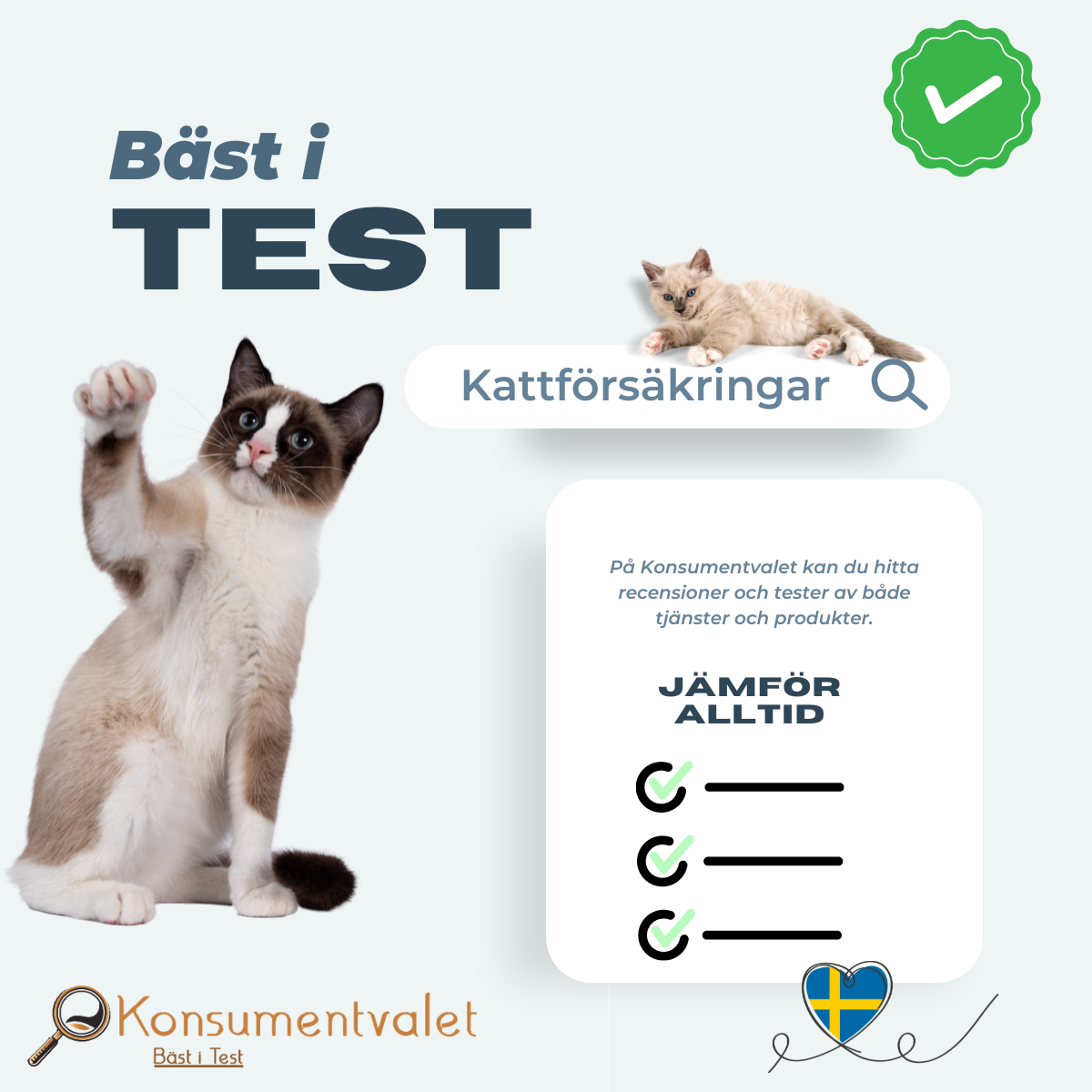 kattförsäkring bäst i test 2024 featured image