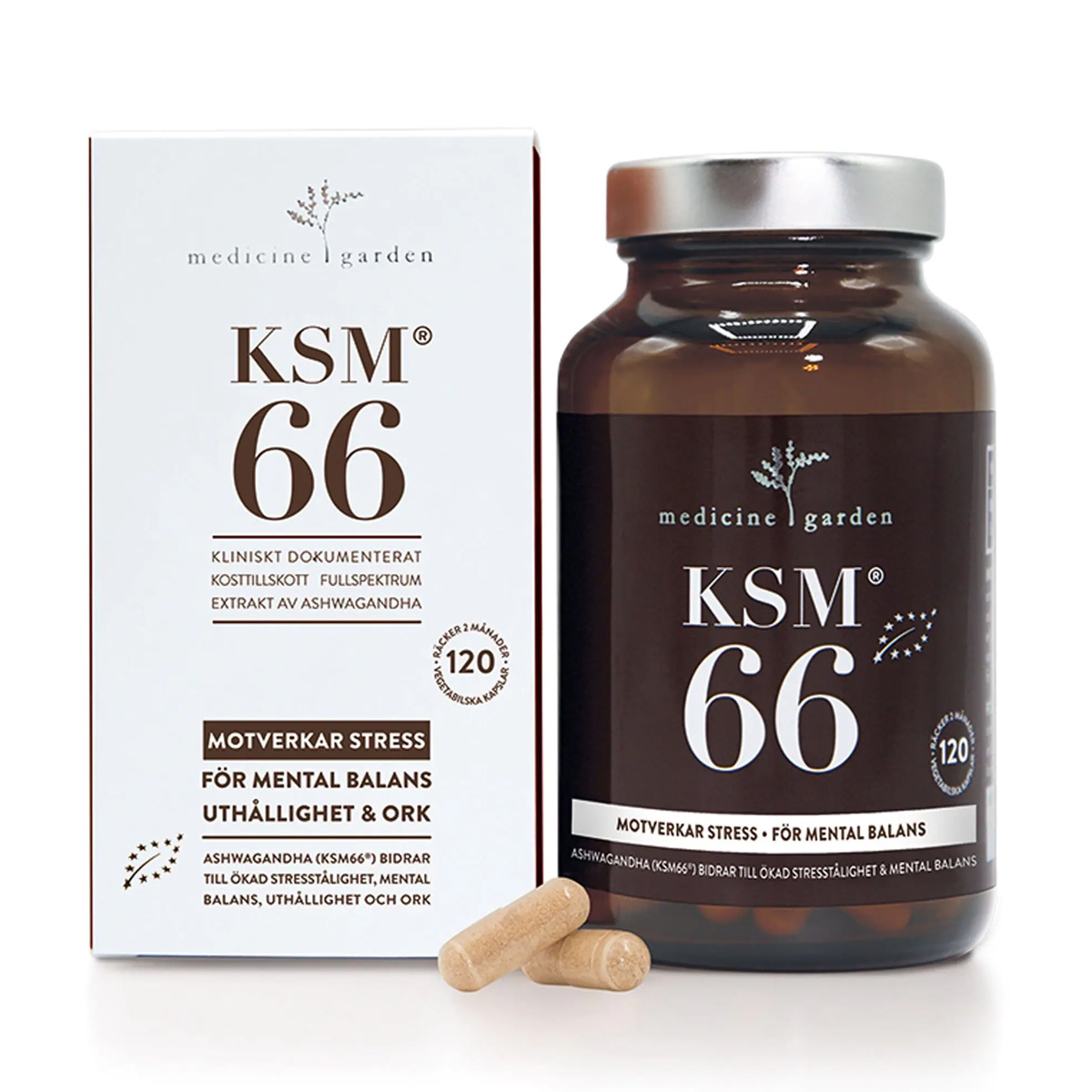 KSM66 120 kapslar Ashwagandha