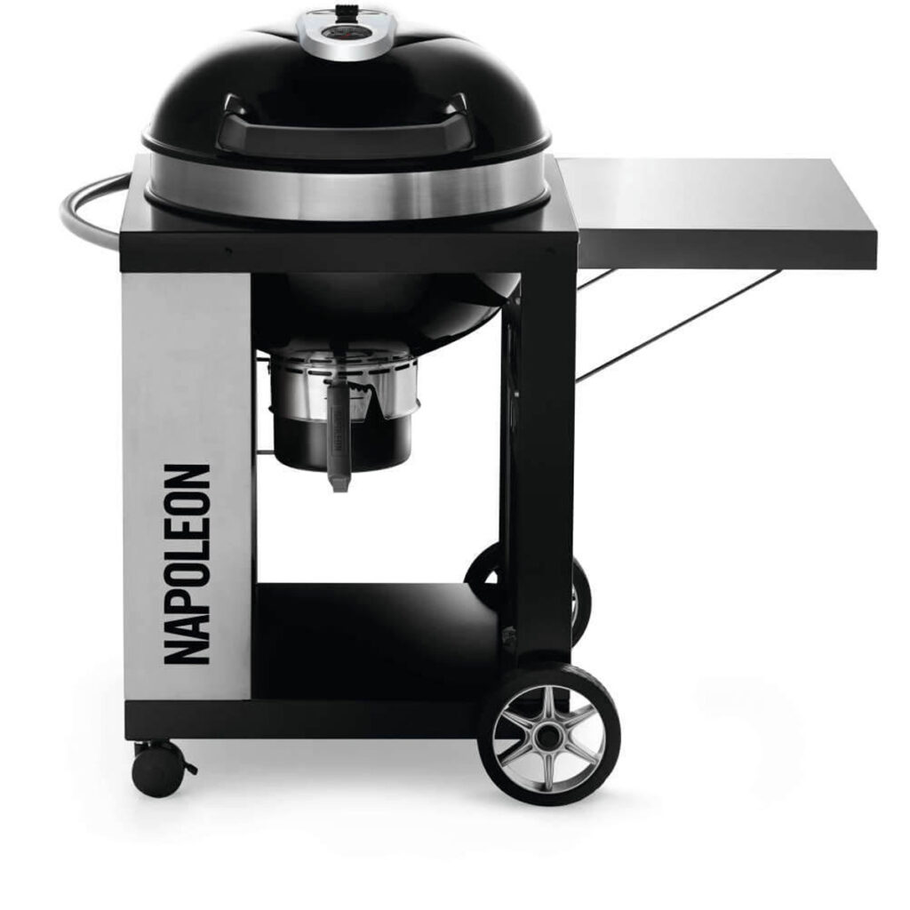 Napoleon Professional 22