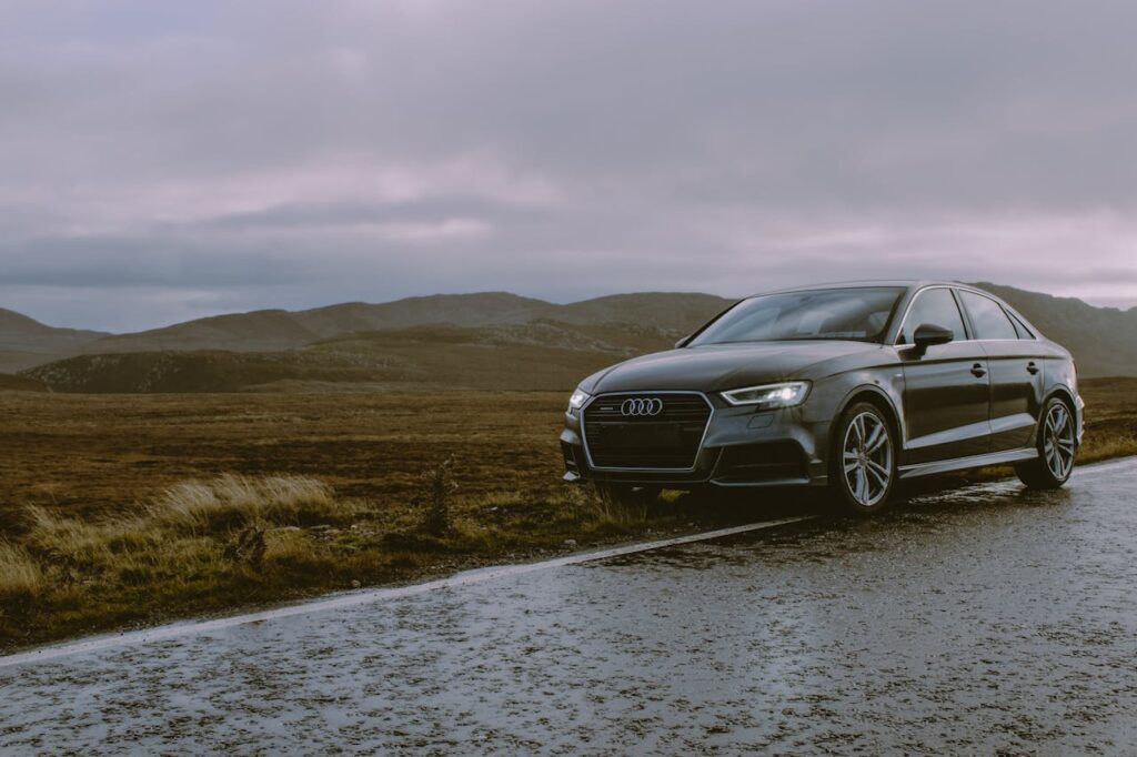 Audi i naturen