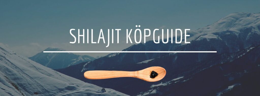 Shilajit köpguide