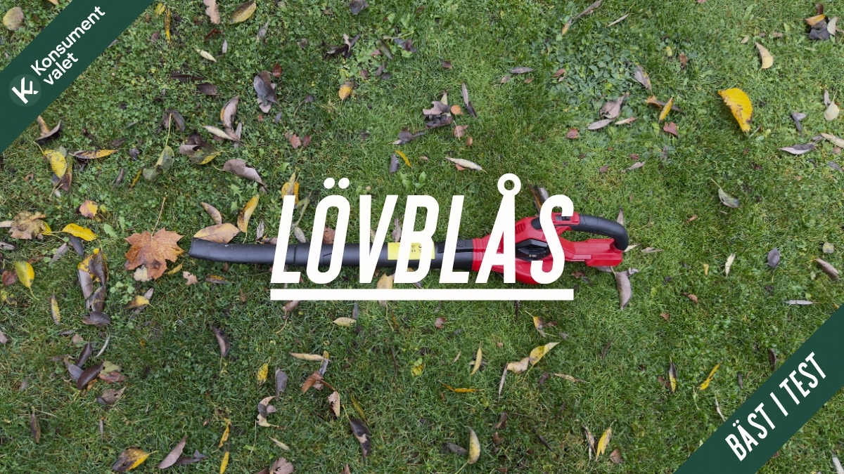 Lövblås bäst i test 2025