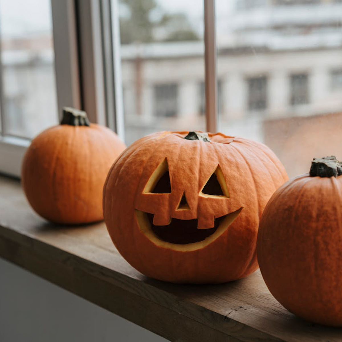 Utvald bild halloween pumpa guide