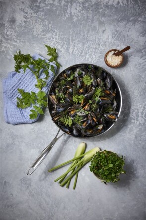 Scanpan Fusion 5 med mat